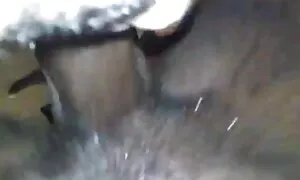 Ebony թագուհին fucks ...