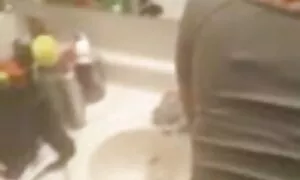 Հնդկական Դեսին լոգար ...